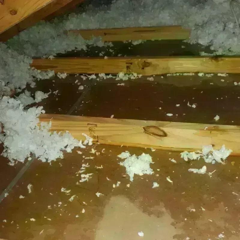 Attic Water Damage in Valley Center, KS