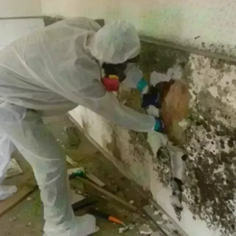 Mold Remediation and Removal in Valley Center, KS