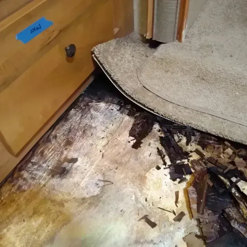 Wood Floor Water Damage in Valley Center, KS